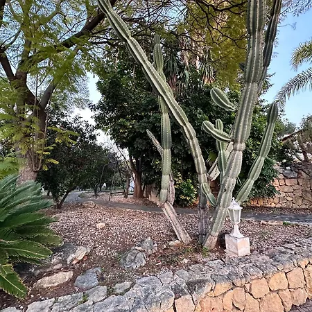 Casa Hendrika - Hills